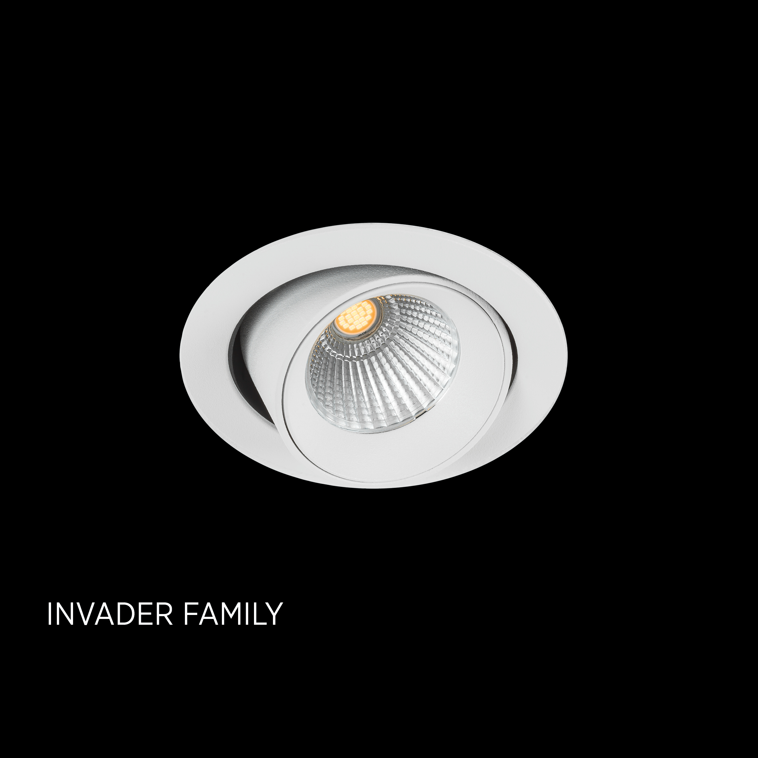 INVADER (2)