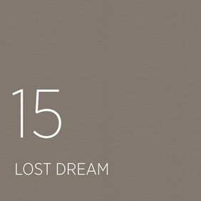 15 Lost Dream