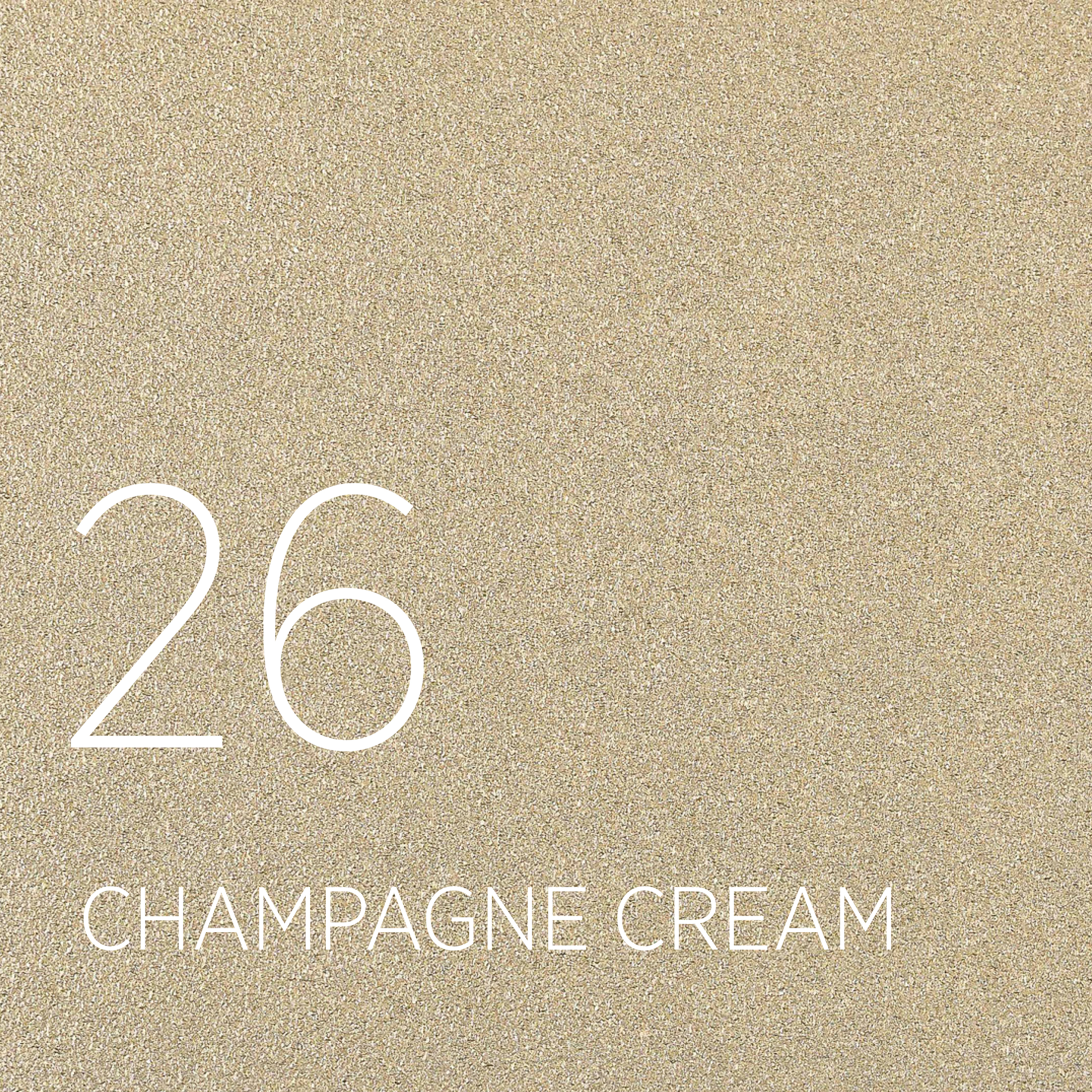26 CHAMPAGNE CREAM