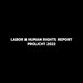 LABOR & HUMAN RIGHTS REPORT 2022