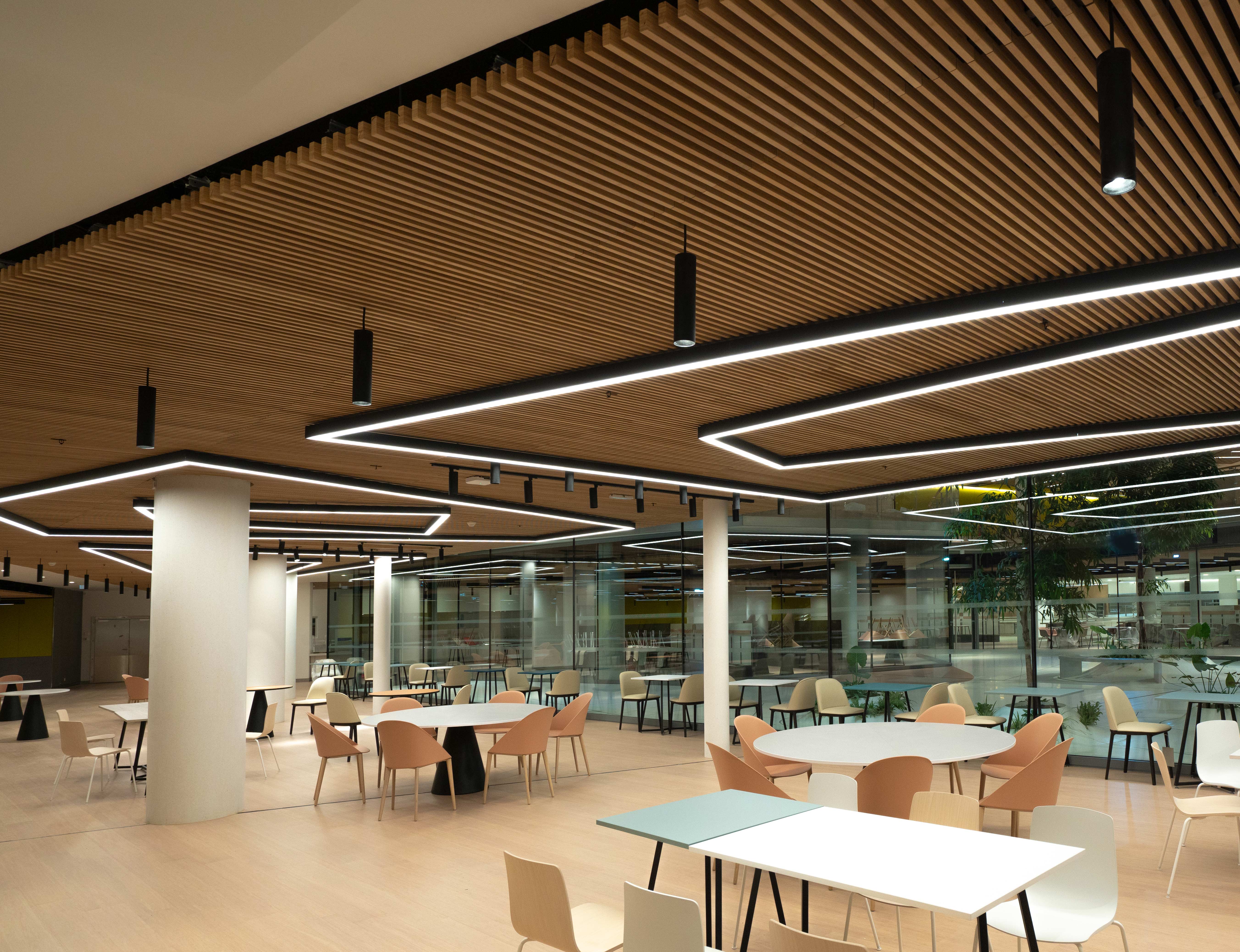 Orange Highlight New