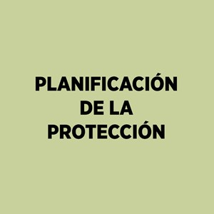 Productos Individuales Iluminación Producción Especial Planificación Protección