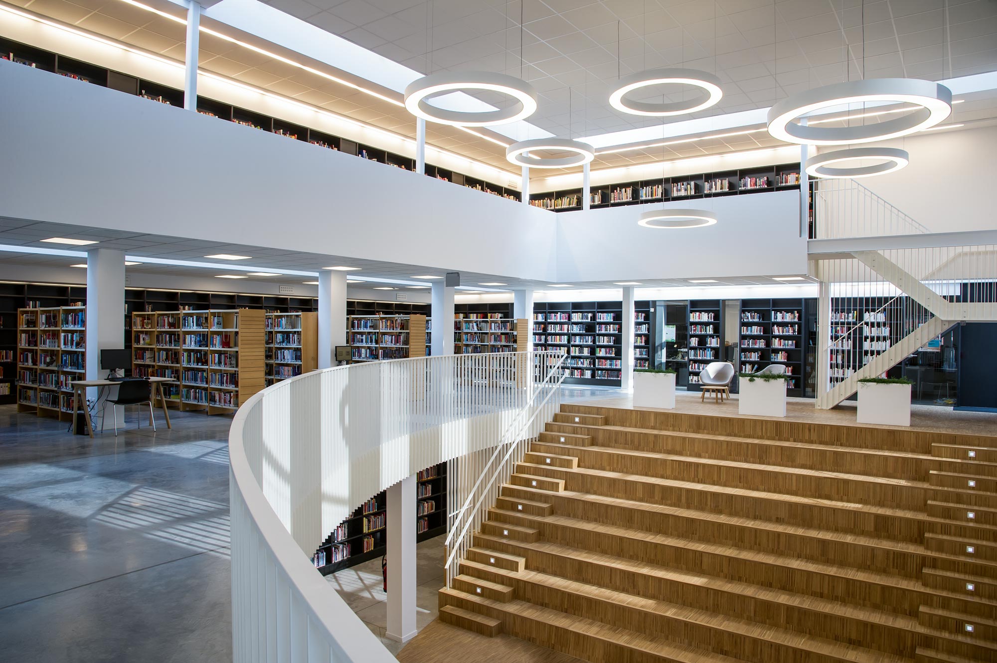 Spots suspendus circulaires Glorious pour une répartition harmonieuse de la lumière dans la bibliothèque de l'université